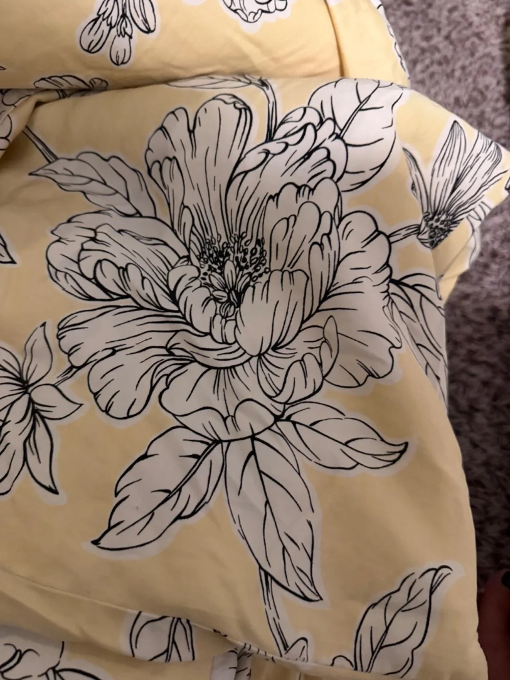 Queen Comforter and 2 Shams
